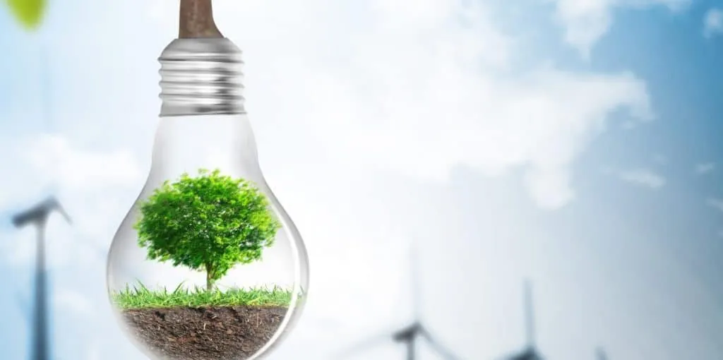 Tree inside light bulb